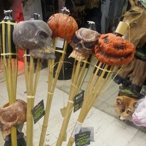 Meet your Posher, Candida